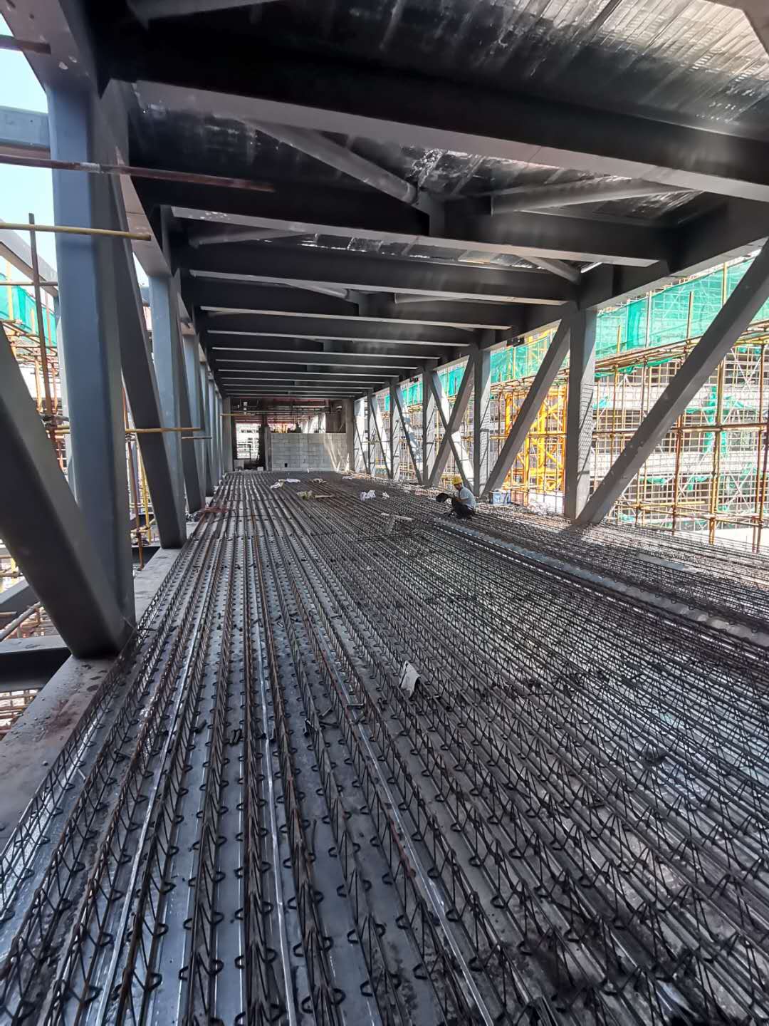 香港六宝典资料大全